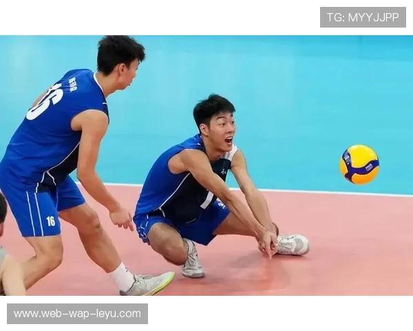 浙江队逆袭之路：从谷底到季后赛竞争者